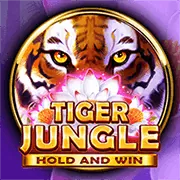 Biểu tượng giới hạn tiền gửi và cược tại f8bet365 win